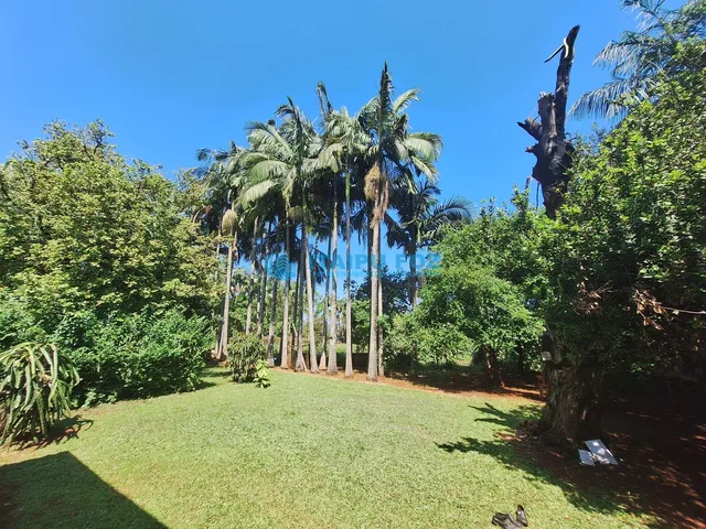 Imagem 14: Chácara À Venda no Lote Grande - Foz do Iguaçu