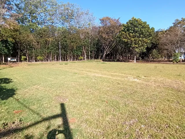 Imagem 7: Terreno, Centro, Pato Bragado - Pr