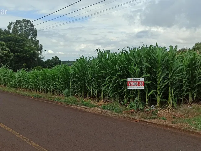 Imagem: Terreno Rua Tiradentes