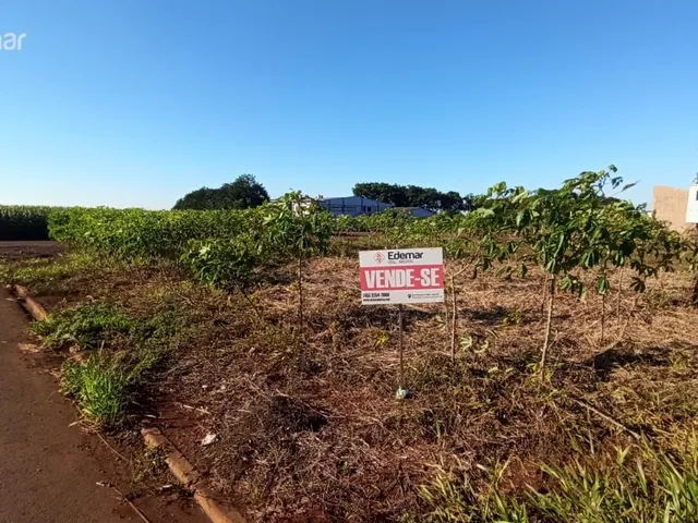 Imagem: Terreno a Venda em Alto santa Fé - Nova