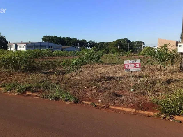 Imagem 8: Terreno a Venda em Alto santa Fé - Nova santa Rosa