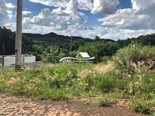 Imagem: Lote Bairro Água Branca