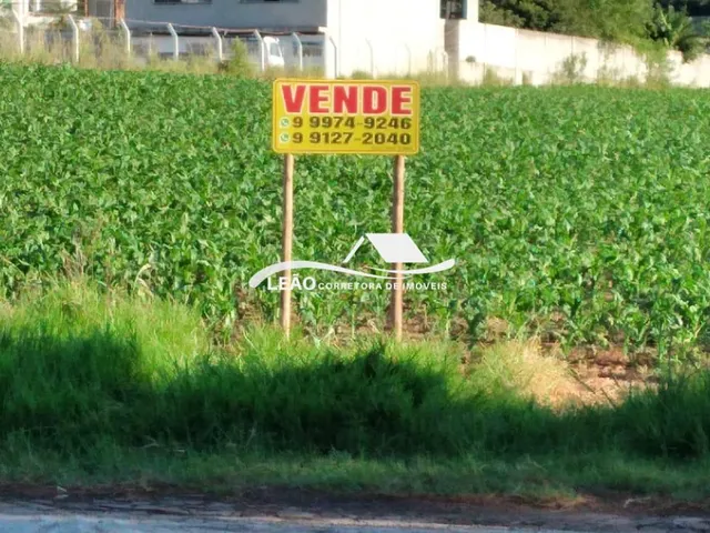 Imagem 2: Terreno Comercial À Venda, Pr 566, Francisco Beltrao - Pr