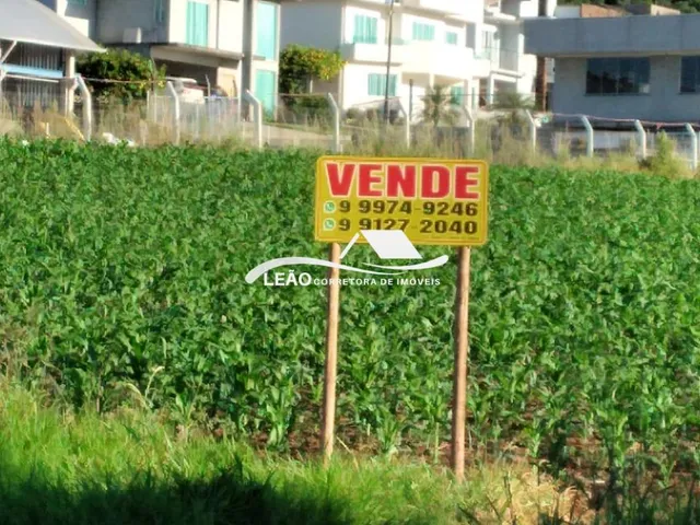 Imagem 4: Terreno Comercial À Venda, Pr 566, Francisco Beltrao - Pr