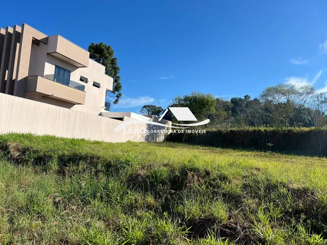Imagem: Lote 12 Quadra 1705
