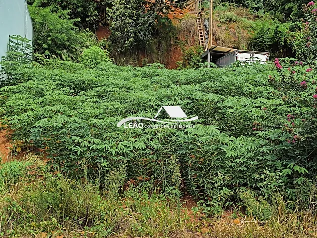 Imagem 3: Terreno À Venda, São Miguel, Francisco Beltrao - Pr