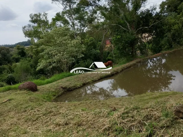 Imagem 4: Belíssima Propriedade Rural
