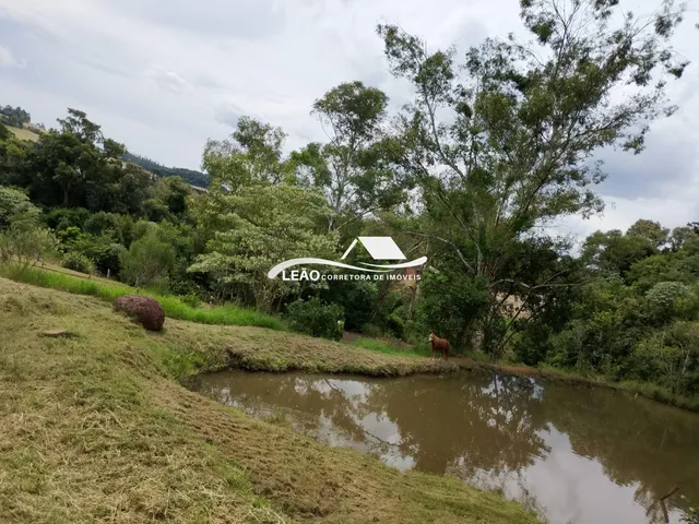 Imagem 5: Belíssima Propriedade Rural