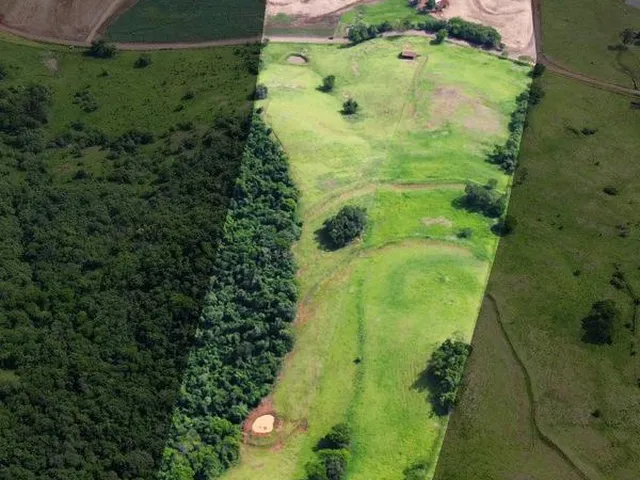 Imagem 1: Sítio, Zona Rural, Capanema - Pr