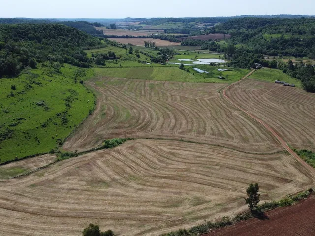 Imagem 2: Sítio À Venda, Linha Barro Branco, Planalto - Pr
