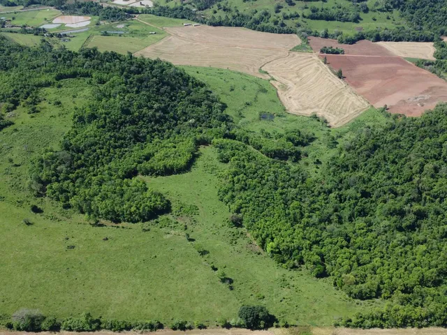 Imagem 3: Sítio À Venda, Linha Barro Branco, Planalto - Pr