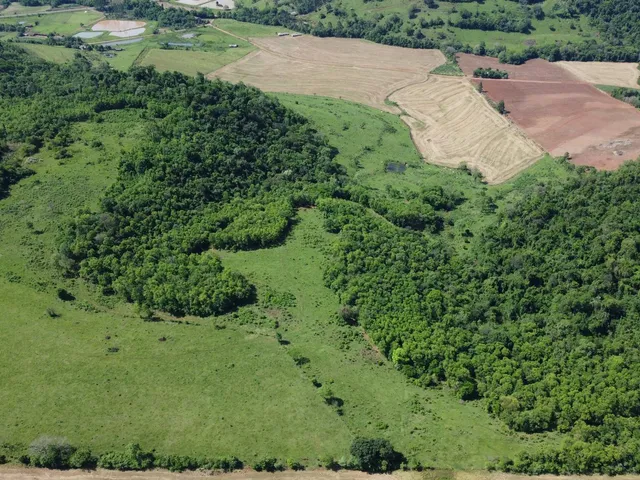 Imagem 4: Sítio À Venda, Linha Barro Branco, Planalto - Pr