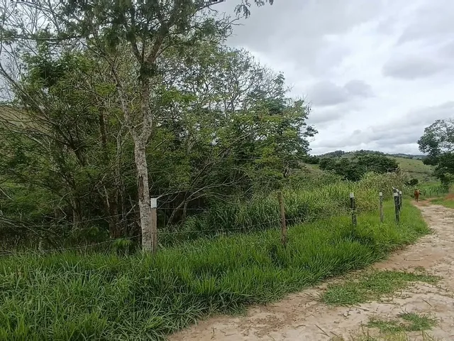 Imagem 12: Sitio em Jambeiro