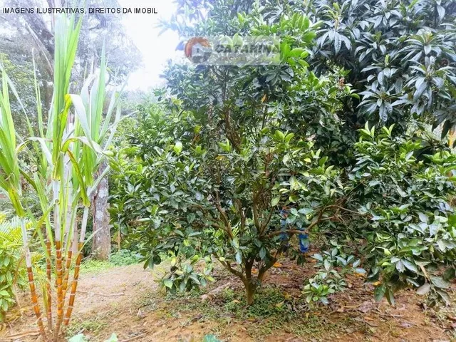 Imagem 2: Chacara Rural em Mairinque - São Paulo