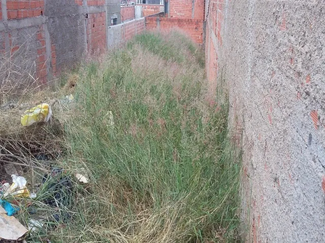Imagem: Terreno