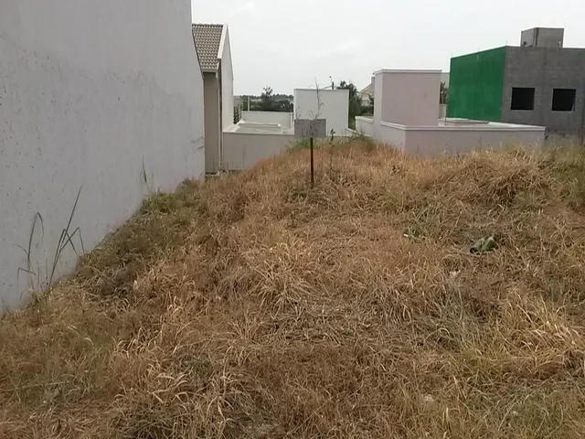 Imagem: Jardim Paulista
