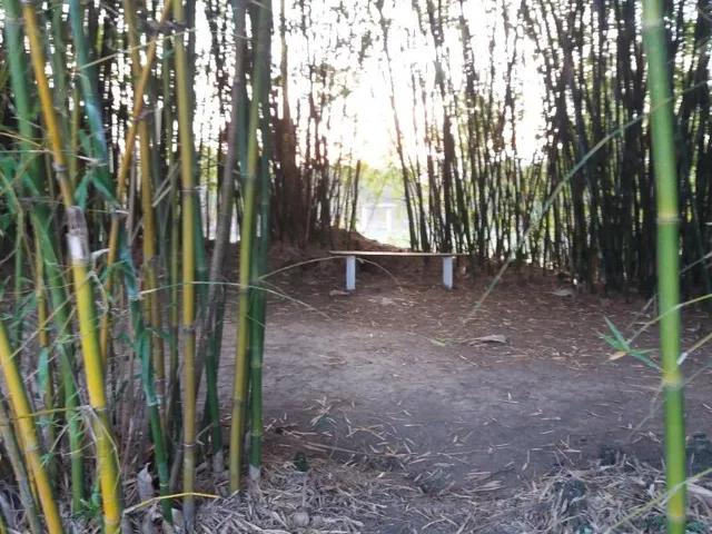 Imagem 2: Estrada do Jacuhu