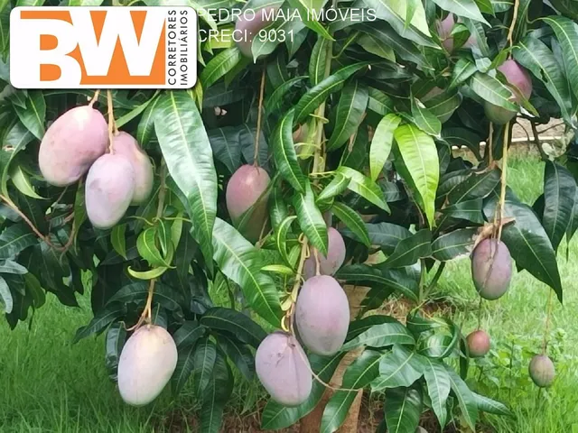 Imagem 8: Farm em Taquaraçu de Minas - Minas Gerais, Engenho