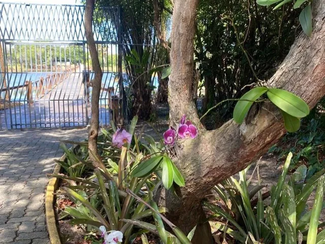 Imagem 9: 0 Casa com 5 dormitórios