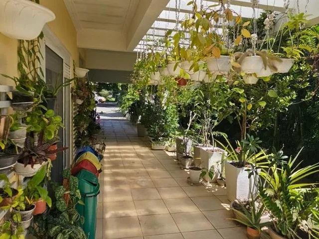 Imagem 4: 0 Casa com 4 dormitórios