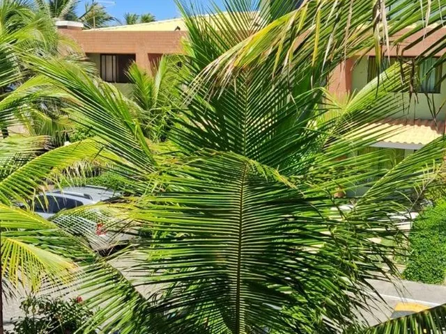 Imagem 10: 0 Casa com 3 dormitórios