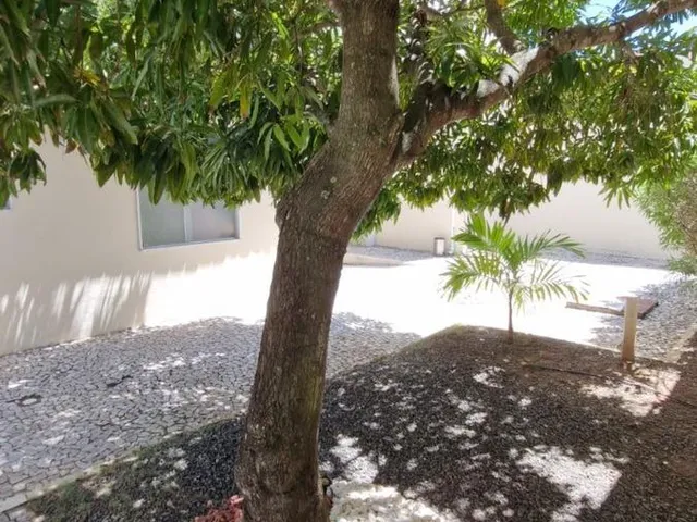 Imagem 3: 0 Casa com 5 dormitórios