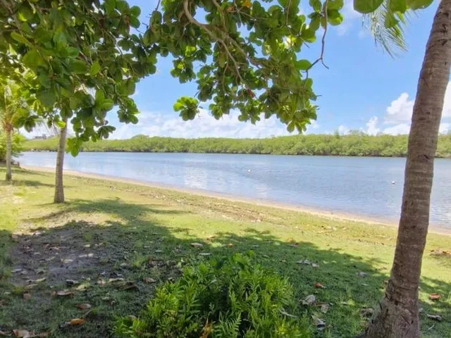 Imagem 14: 0 Casa com 5 dormitórios