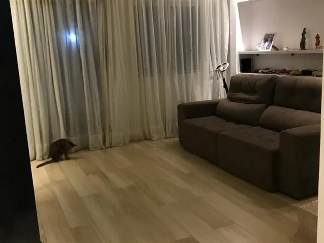 Imagem 6: 0 Casa com 2 dormitórios