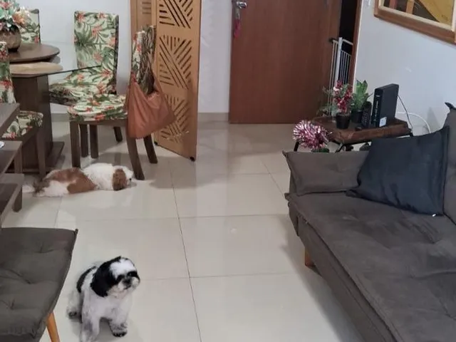 Imagem 3: 0 Apartamento com 2 dormitórios