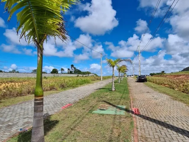 Imagem 12: 0 Terreno / lote com venda por R$275.000