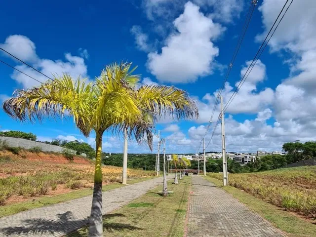 Imagem 10: 0 Terreno / lote com venda por R$275.000