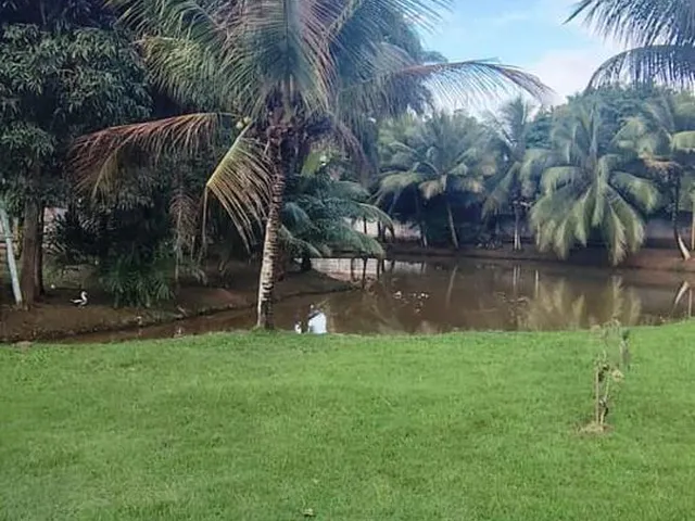 Imagem 12: 0 Casa com 4 dormitórios