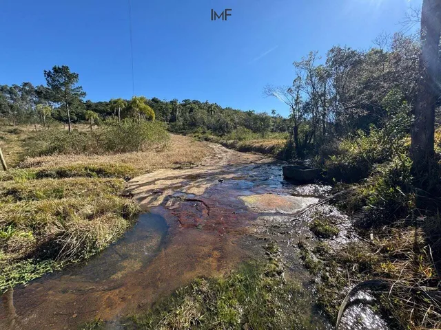 Imagem 3: Terreno À Venda no Bairro Cedro Alto - Rio dos Cedros/Sc