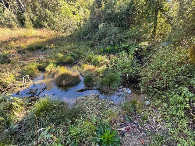 Imagem 16: Terreno À Venda no Bairro Cedro Alto - Rio dos Cedros/Sc