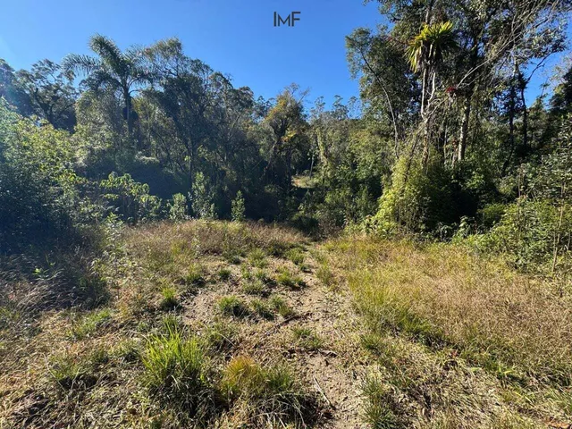 Imagem 8: Terreno À Venda no Bairro Cedro Alto - Rio dos Cedros/Sc