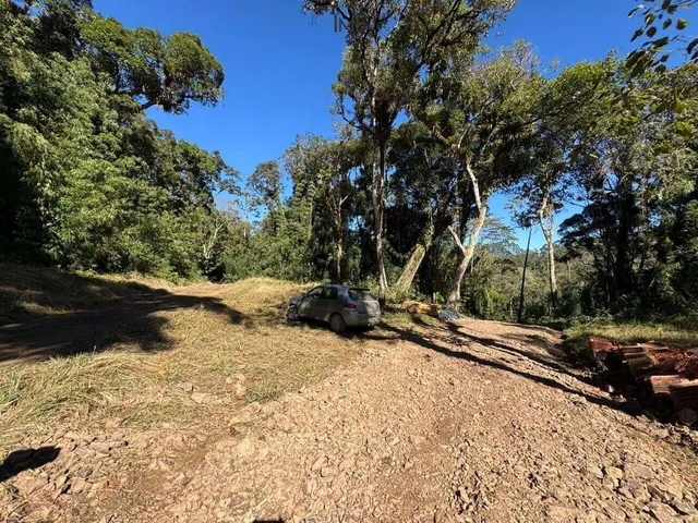 Imagem 5: Terreno À Venda no Bairro Cedro Alto - Rio dos Cedros/Sc