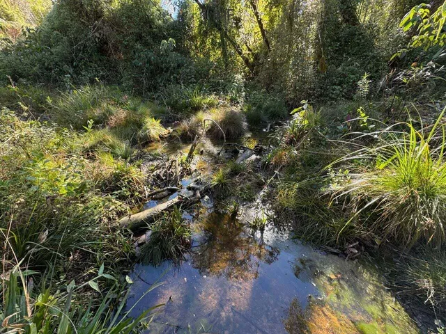 Imagem 15: Terreno À Venda no Bairro Cedro Alto - Rio dos Cedros/Sc