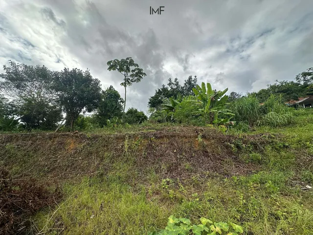 Imagem 4: Terreno com 439,38 Metros Quadrados em Ótima Localizacao, em Um dos Bairros Mais Compleltos da Cidade