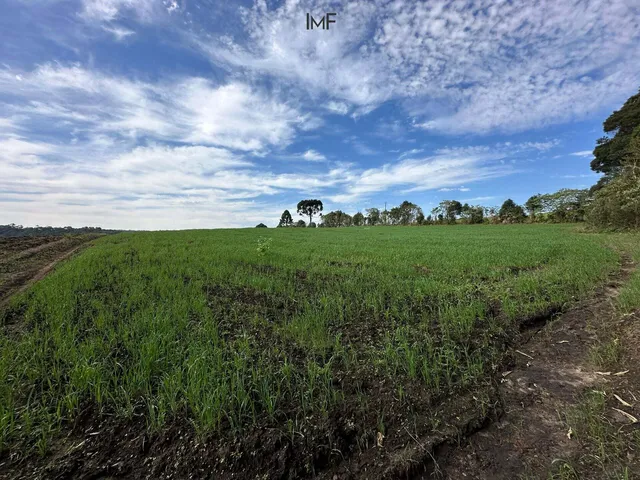 Imagem: Terreno À Venda no Bairro São Gabriel