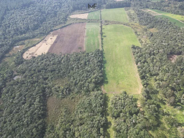 Imagem 6: Terreno À Venda no Bairro São Gabriel - Itaiópolis/Sc