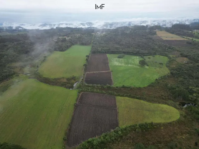 Imagem 5: Terreno À Venda no Bairro São Gabriel - Itaiópolis/Sc
