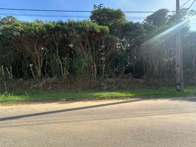 Imagem 5: Terreno em Capitais, Timbó/Sc