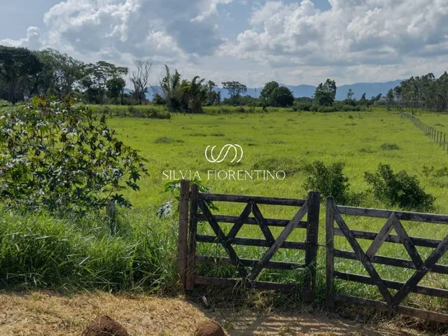 Imagem 3: Terreno À Venda em Taubaté-Sp, Bairro Barranco - 11.213M² de Área!