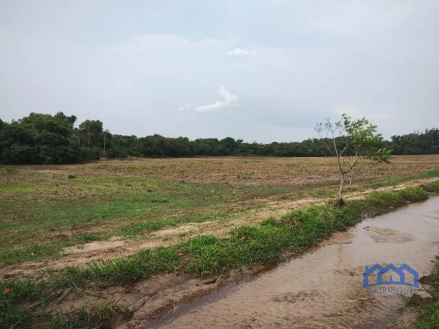 Imagem: Sítio/Fazenda À Venda, 13,6 Alqueires