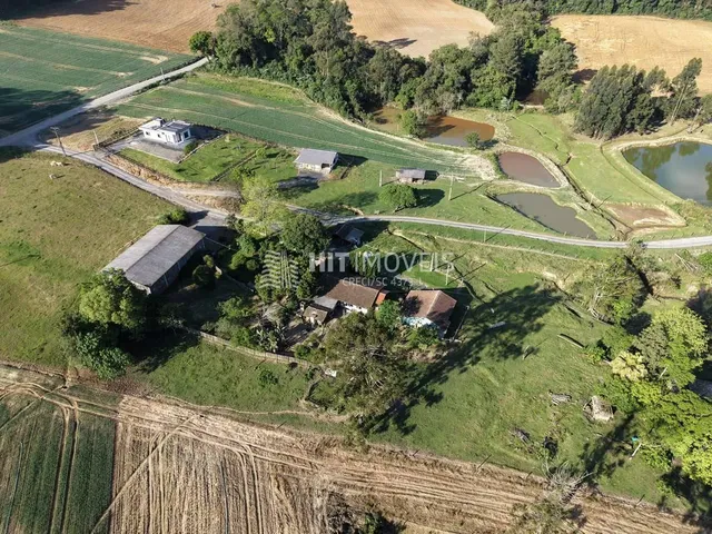 Imagem 14: Sítio - Bela Vista - Ituporanga - Sc