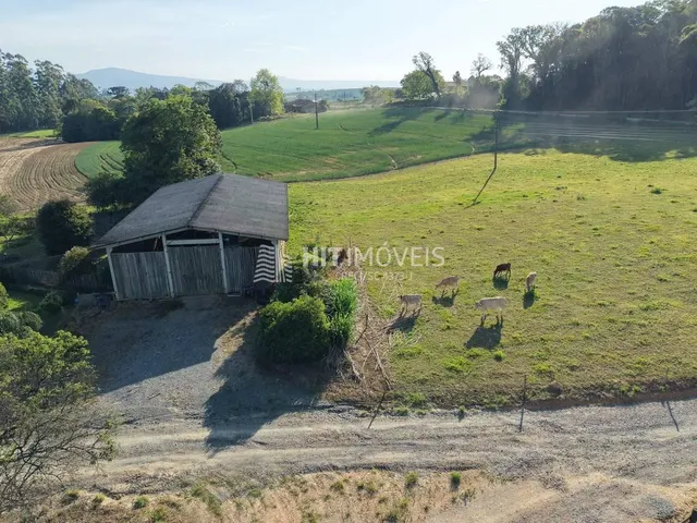 Imagem 4: Sítio - Bela Vista - Ituporanga - Sc