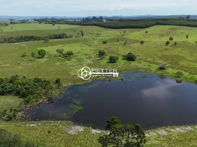 Imagem 8: Sitio 19 Alqueires - Itapetininga/Sp