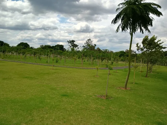 Imagem 6: 0 Terreno / lote com venda por R$197.000