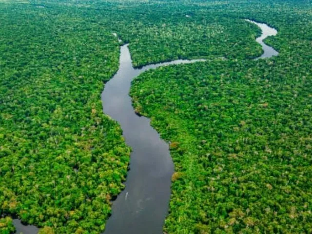 Imagem: Area Nativa Regiao Borba