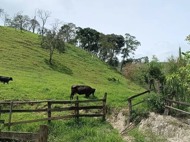Imagem 7: Sítio em Redenção da Serra